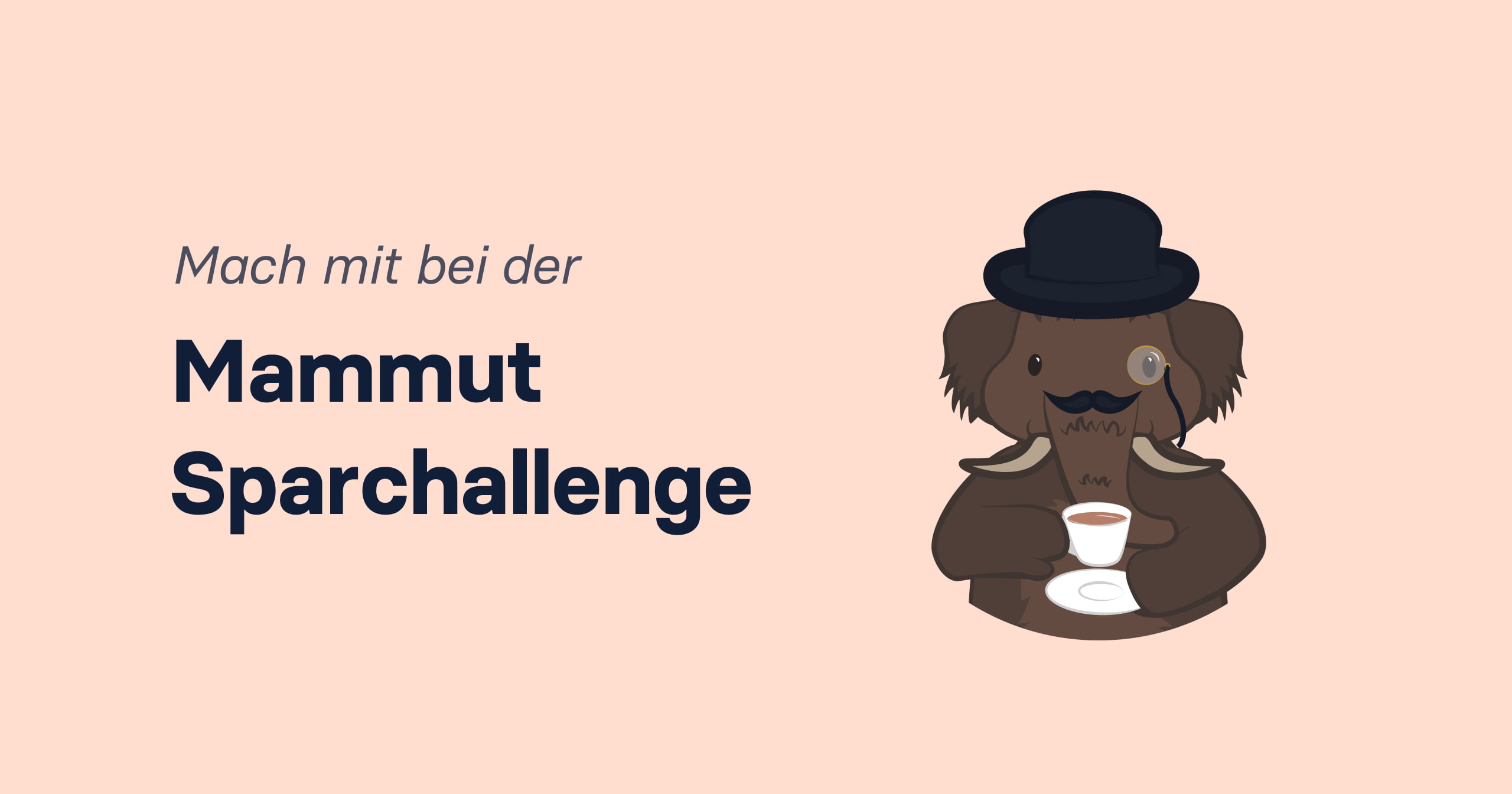 Cover - Mammut-Sparchallenge